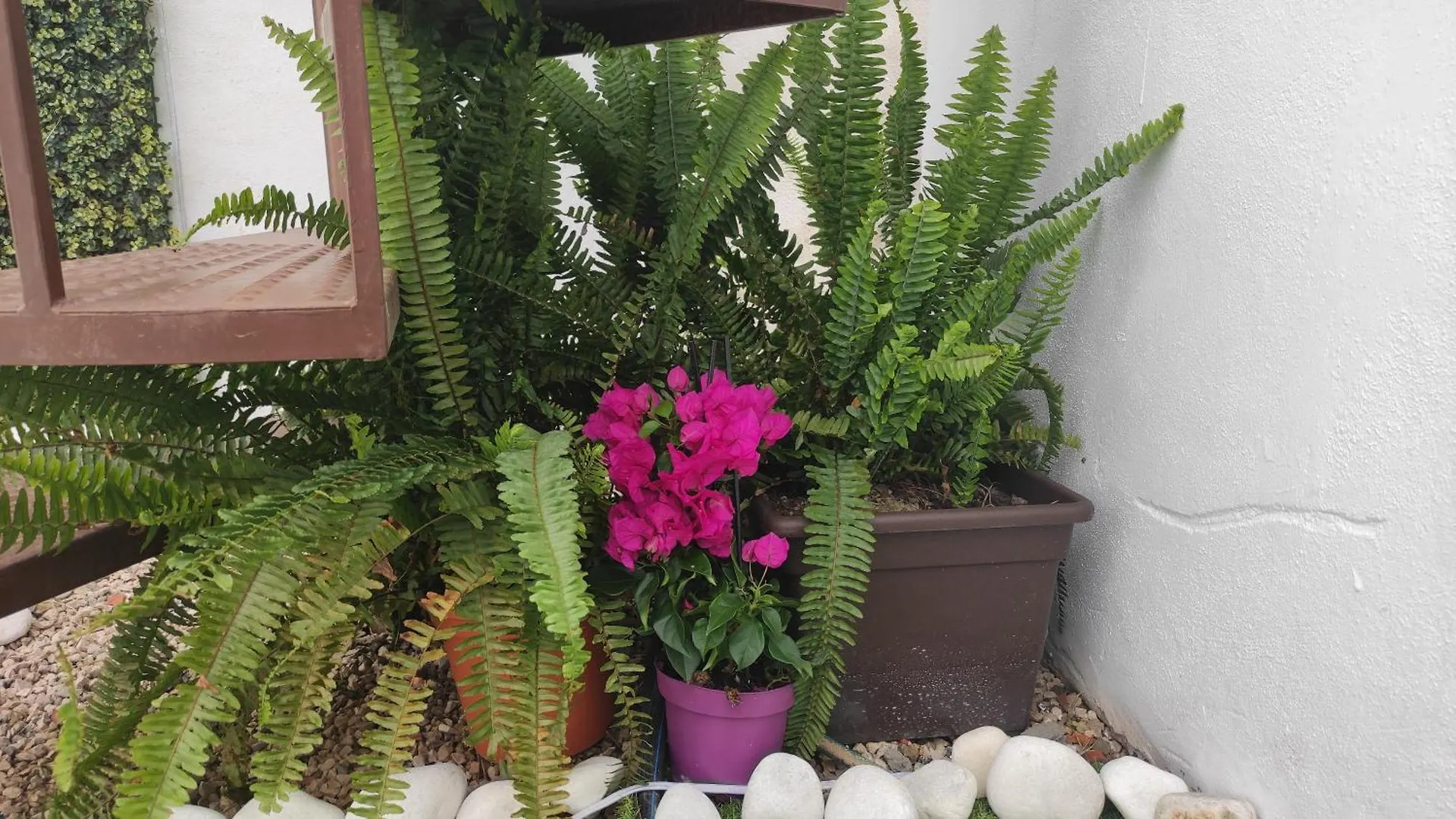 Casa Carmela Axarquia Villa Malaga Holiday home